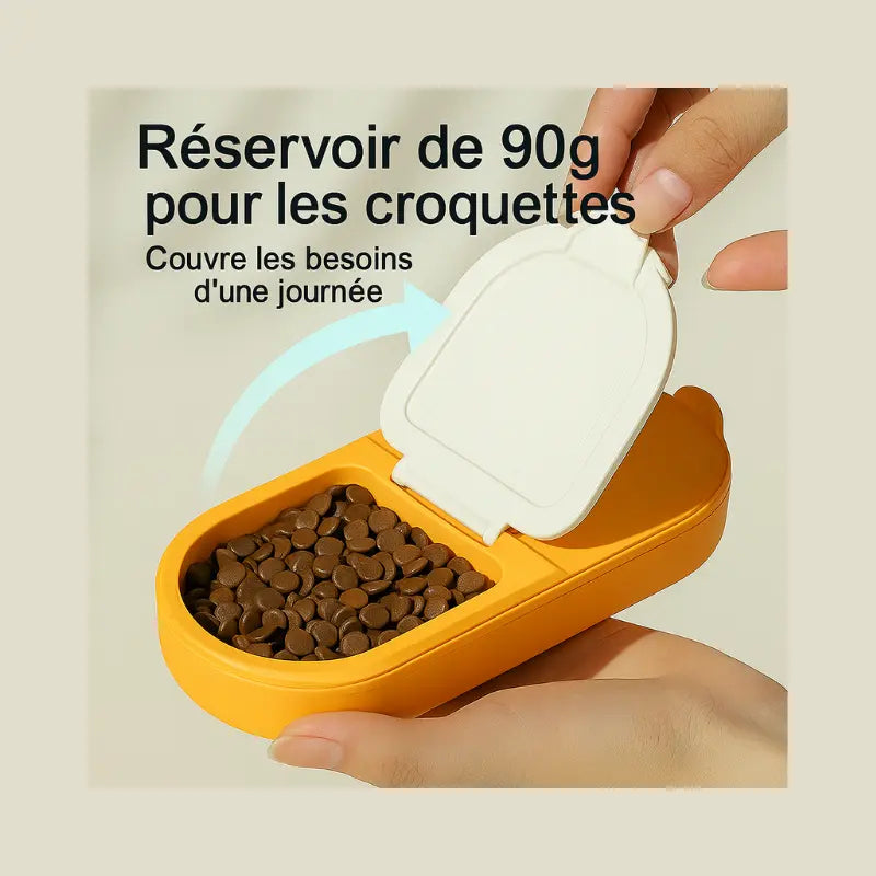 Gamelle 2-en-1 Eau & Croquettes - - Dogsaddicte