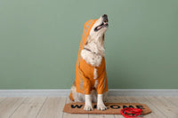 Manteau imperméable pour chien – Balades sous la pluie