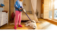 Brosse aspirateur pour chien