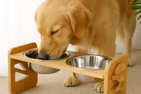 Support de gamelle pour chien