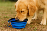 Gamelle pliable pour chien