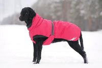 Manteau chaud pour chien – Protection hivernale idéale