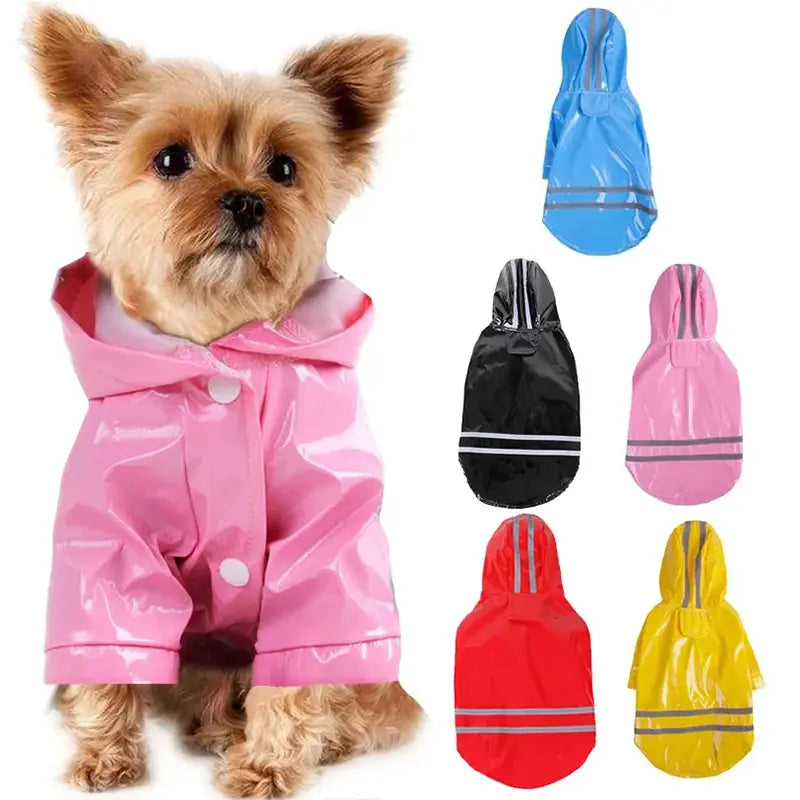 Manteau imperméable pour chien rélféchissant -  - Dogsaddicte