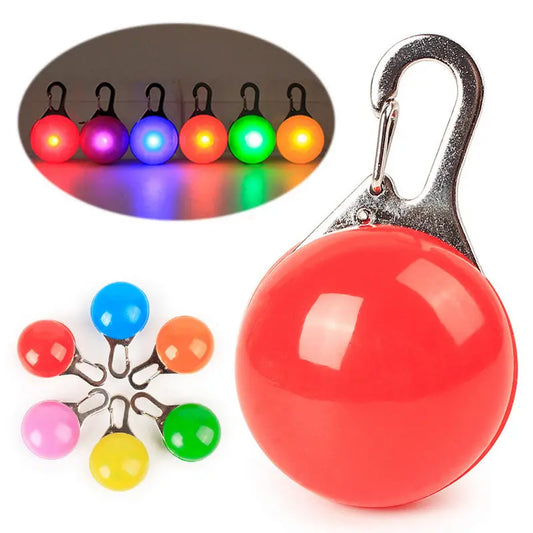 Médaille chien led pour nuit -  - Dogsaddicte