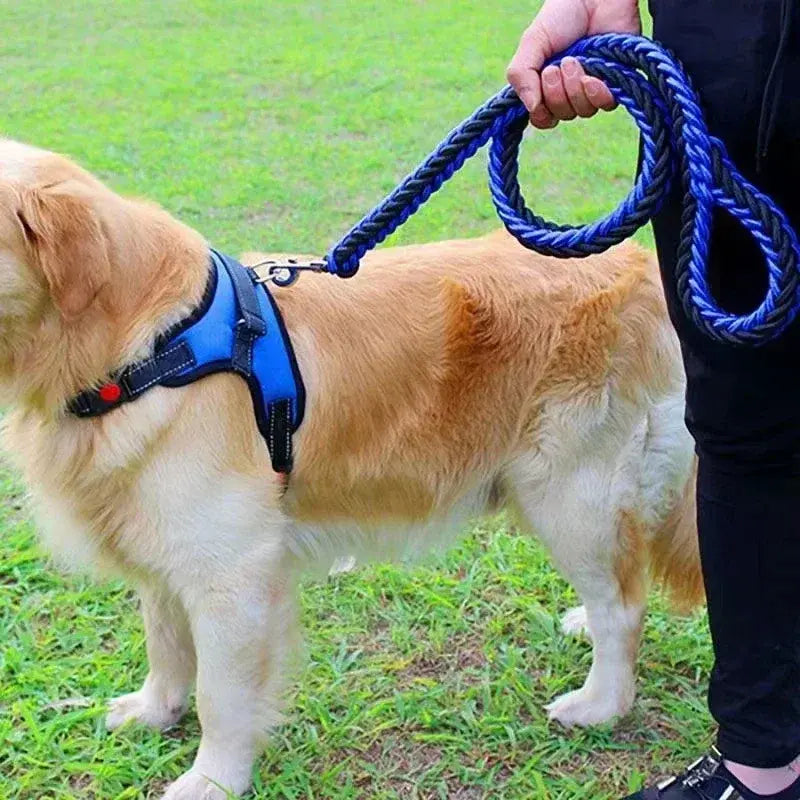Longe pour chien en Nylon -  - Dogsaddicte