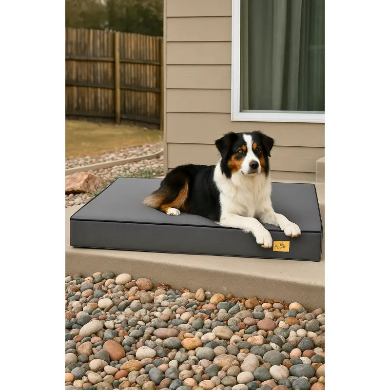 Lit pour chien imperméable -  - Dogsaddicte