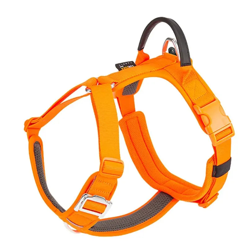 Harnais anti-traction chien ajustable -  - Dogsaddicte
