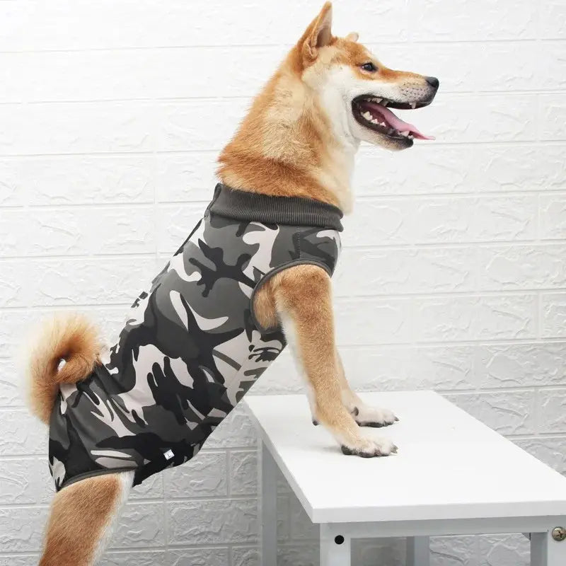 Combinaison marinière et camouflage -  - Dogsaddicte