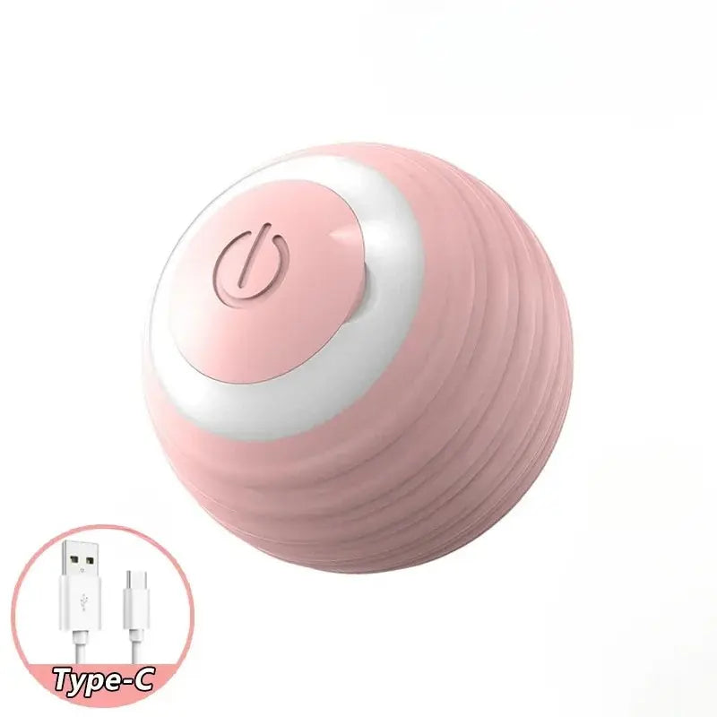 Balle pour chien interactive -  - Dogsaddicte