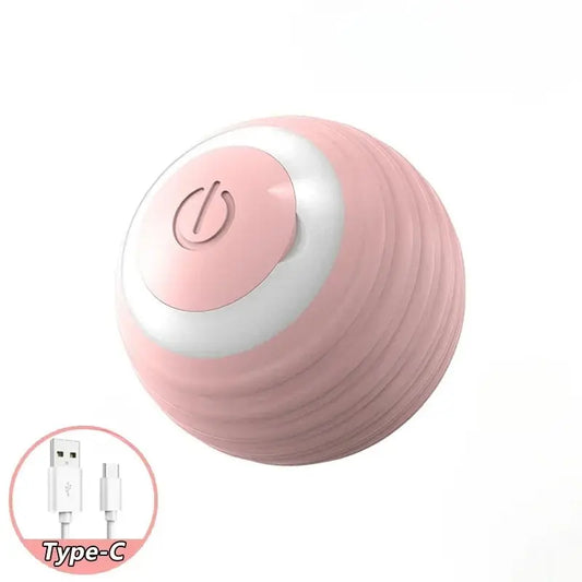 Balle pour chien interactive -  - Dogsaddicte