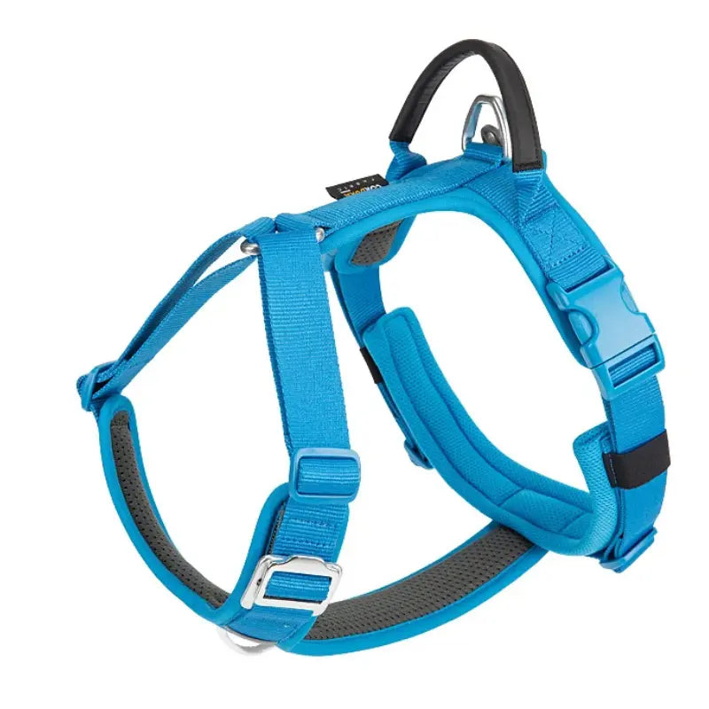 Harnais anti-traction chien ajustable -  - Dogsaddicte