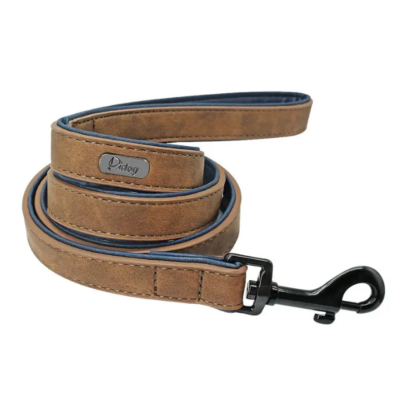 Laisse pour chien en cuir -  - Dogsaddicte