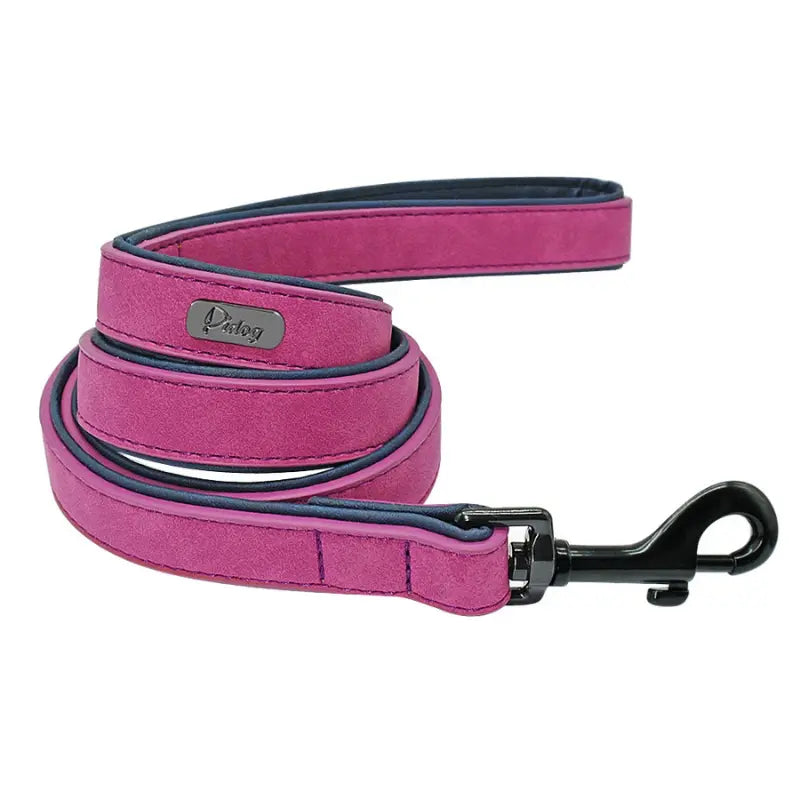 Laisse pour chien en cuir -  - Dogsaddicte