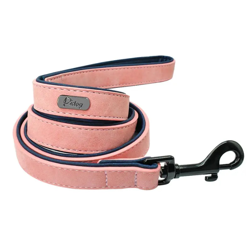 Laisse pour chien en cuir -  - Dogsaddicte