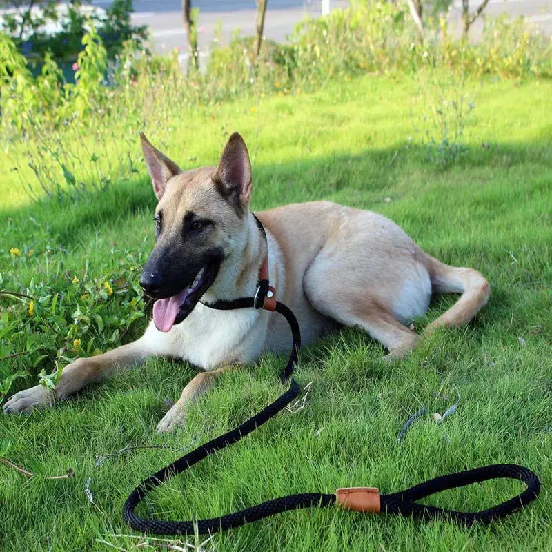 Longe pour chien 160 à 185cm -  - Dogsaddicte