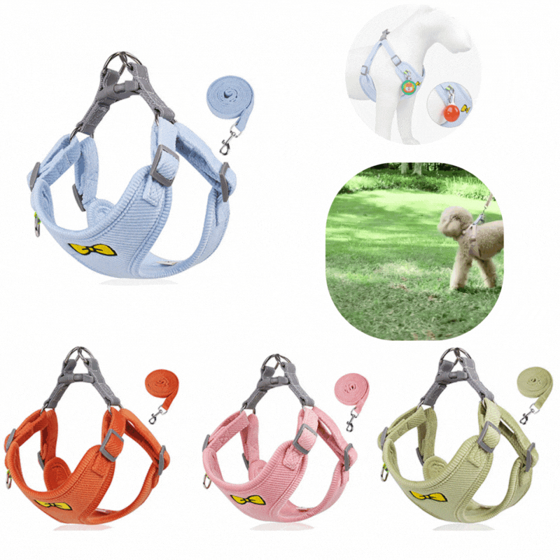 Harnais Réfléchissant Doux pour chien+laisse -  - Dogsaddicte