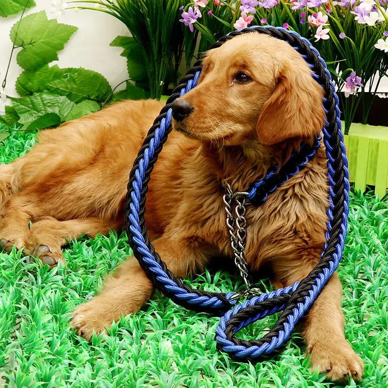 Longe pour chien 1.2m + collier. -  - Dogsaddicte