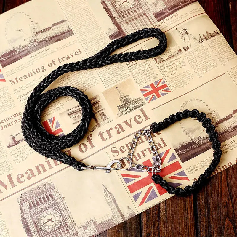 Longe pour chien 1.2m + collier. -  - Dogsaddicte