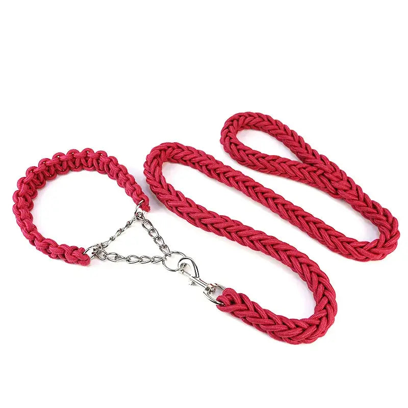 Longe pour chien 1.2m + collier. -  - Dogsaddicte