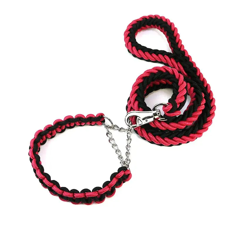 Longe pour chien 1.2m + collier. -  - Dogsaddicte