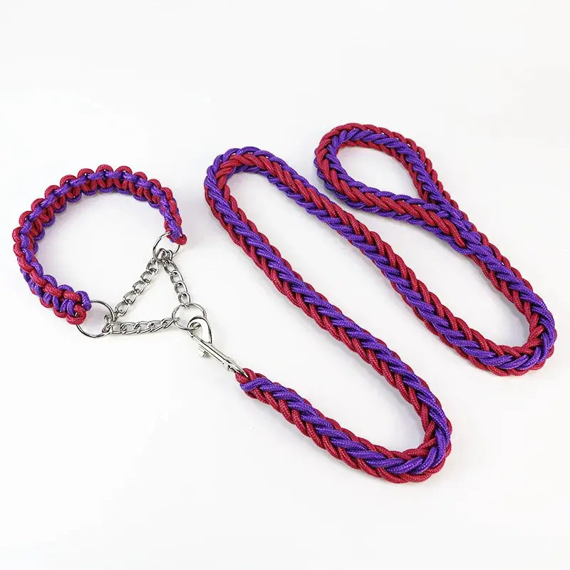 Longe pour chien 1.2m + collier. -  - Dogsaddicte