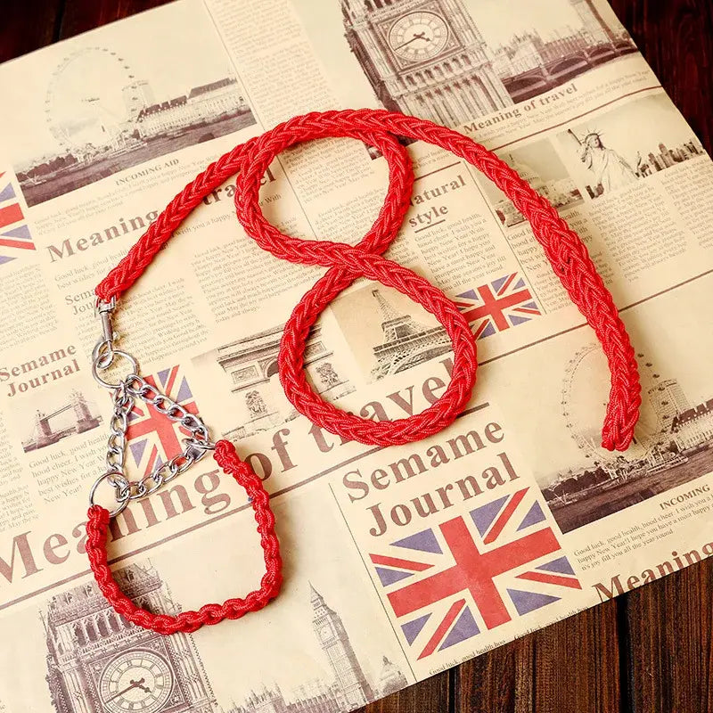 Longe pour chien 1.2m + collier. -  - Dogsaddicte