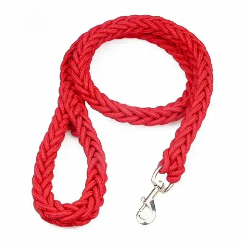 Longe pour chien en Nylon -  - Dogsaddicte