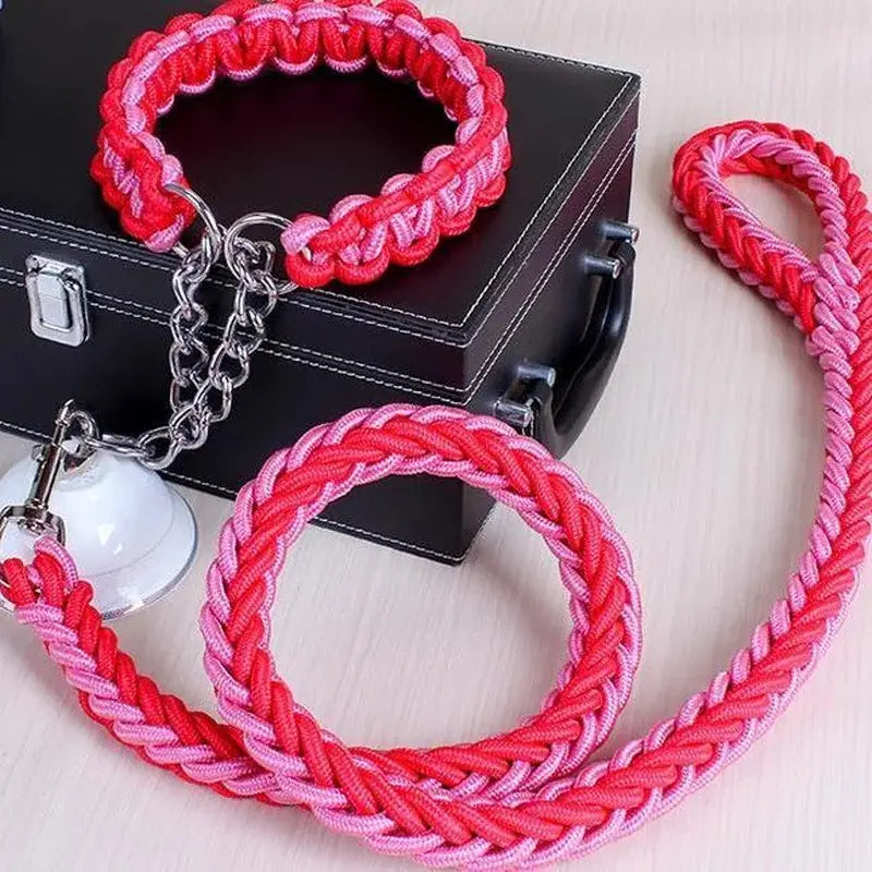 Longe pour chien 1.2m + collier. -  - Dogsaddicte