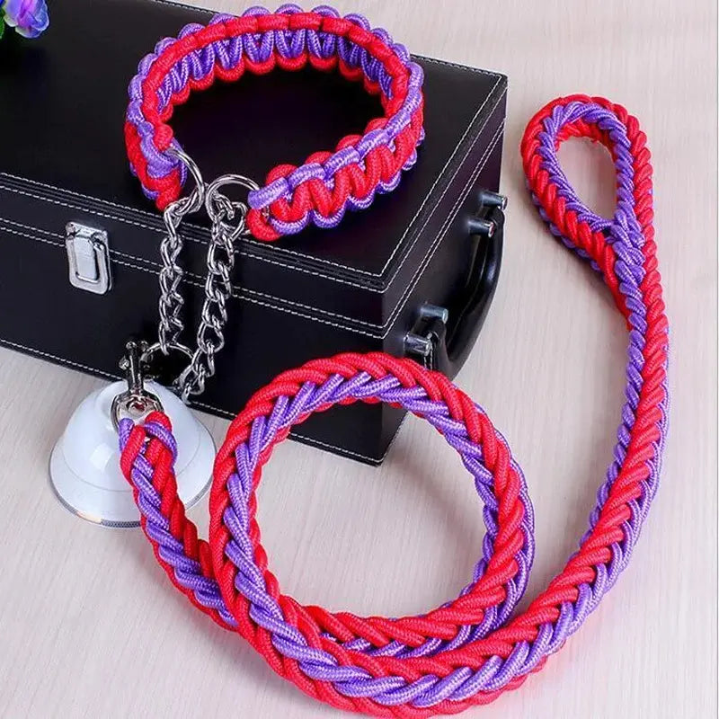 Longe pour chien 1.2m + collier. -  - Dogsaddicte