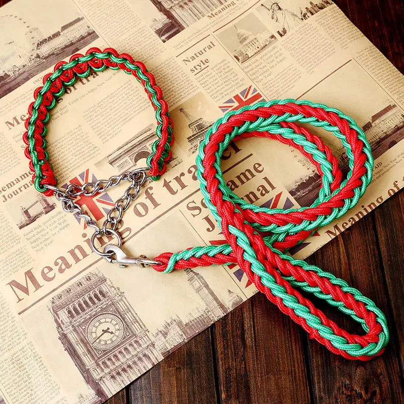 Longe pour chien 1.2m + collier. -  - Dogsaddicte