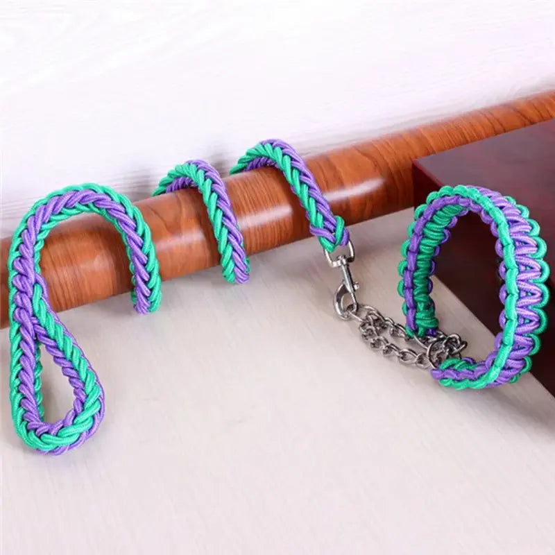 Longe pour chien 1.2m + collier. -  - Dogsaddicte