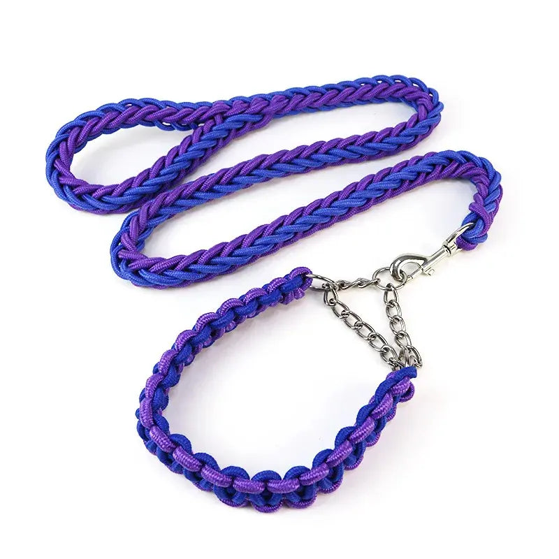Longe pour chien 1.2m + collier. -  - Dogsaddicte