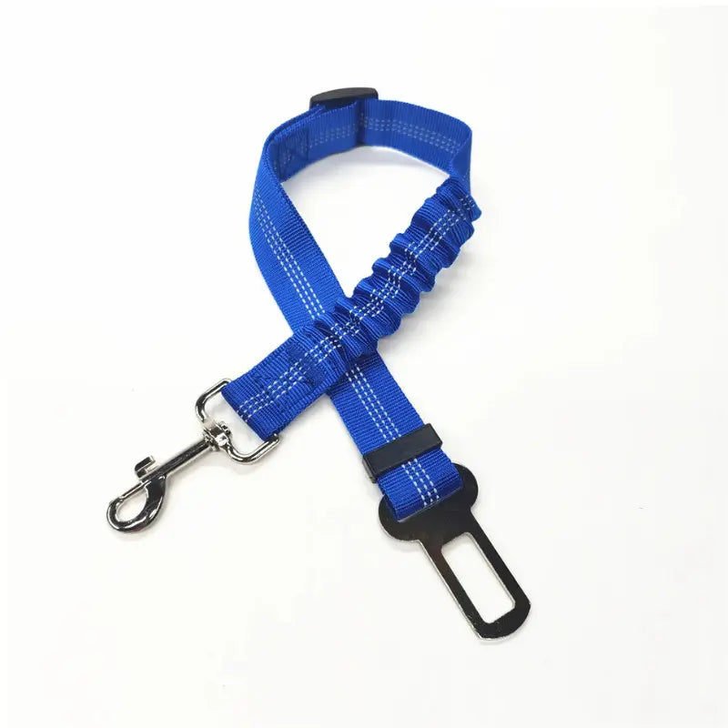 Laisse voiture pour chien 50 à 75cm -  - Dogsaddicte