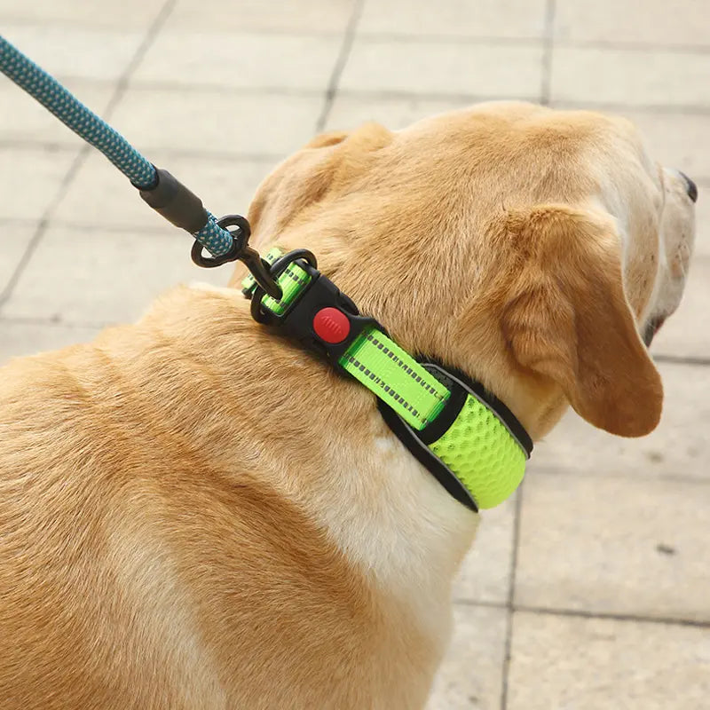 Collier chien rembourré réfléchissant -  - Dogsaddicte