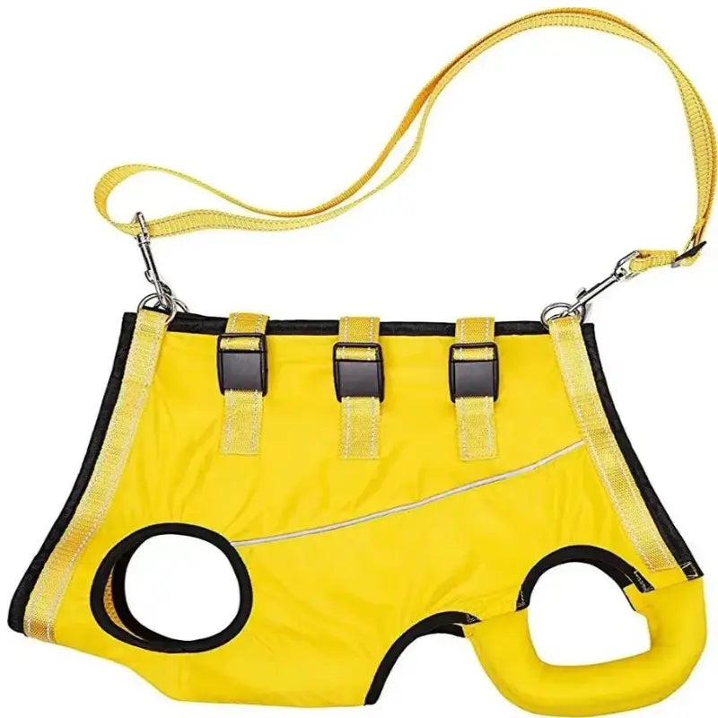 Harnais pour chien pour 4 pattes -  - Dogsaddicte