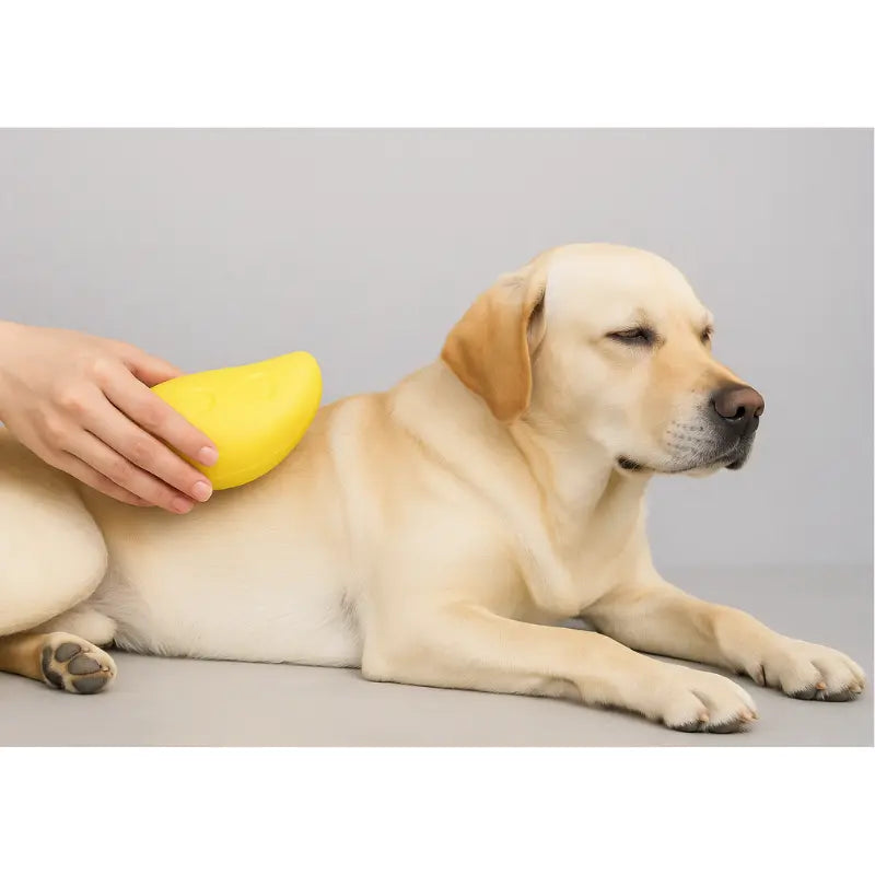 Brosse vapeur 3 en 1 électrique -  - Dogsaddicte