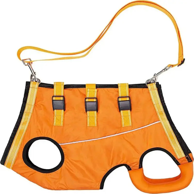 Harnais pour chien pour 4 pattes -  - Dogsaddicte