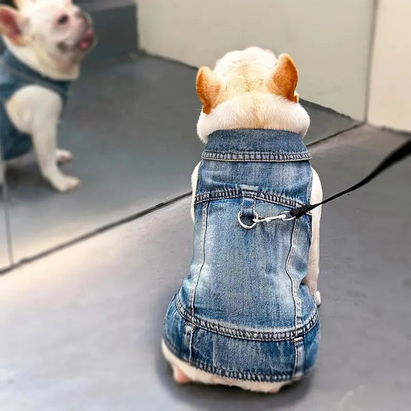 Veste Jean Chien Petit/Moyen -  - Dogsaddicte
