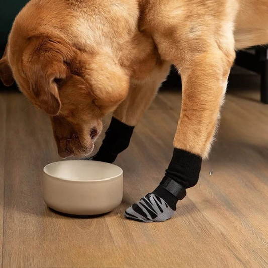 Chaussettes Antidérapantes Chien | Sols Glissants
