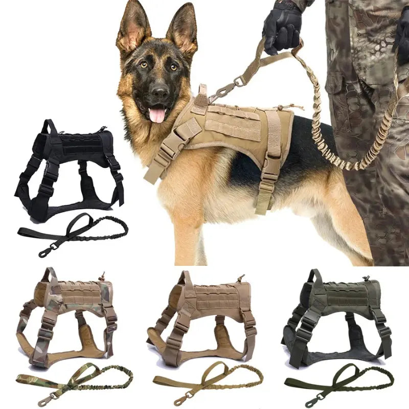 Harnais Tactique Militaire Chien S/M/L + Laisse -  - Dogsaddicte