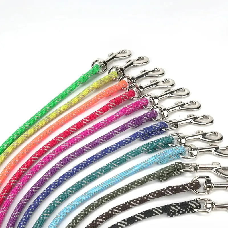 Longe chien nylon légère design -  - Dogsaddicte