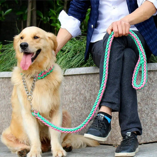 Longe pour chien 1.2m + collier. -  - Dogsaddicte