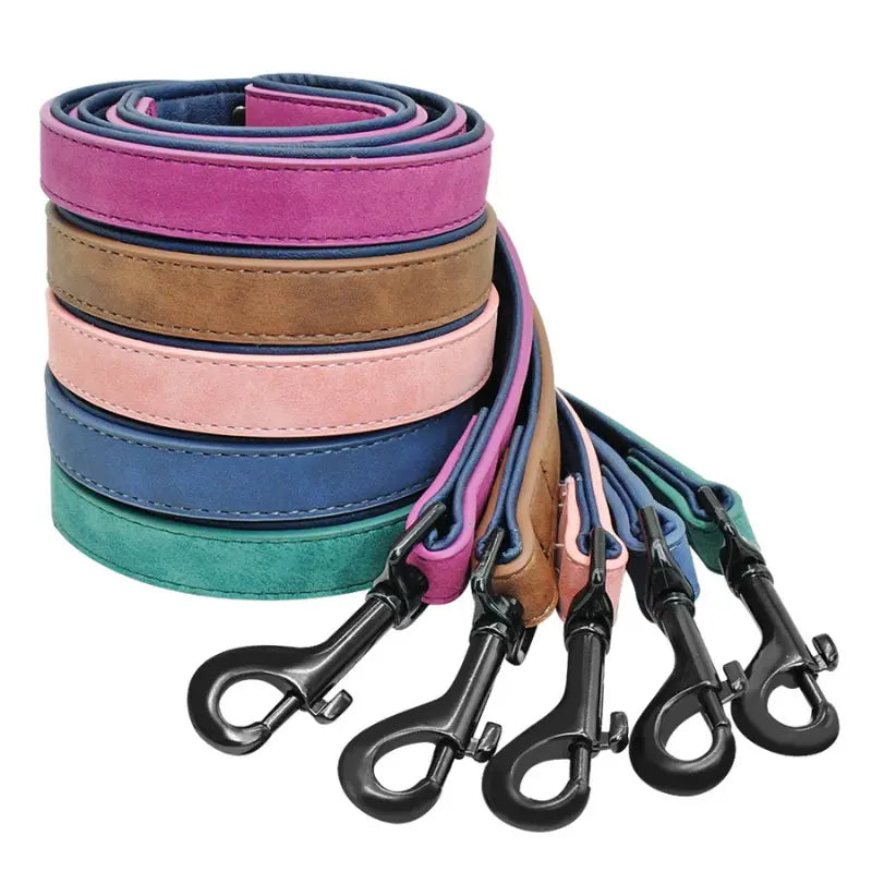 Laisse pour chien en cuir -  - Dogsaddicte