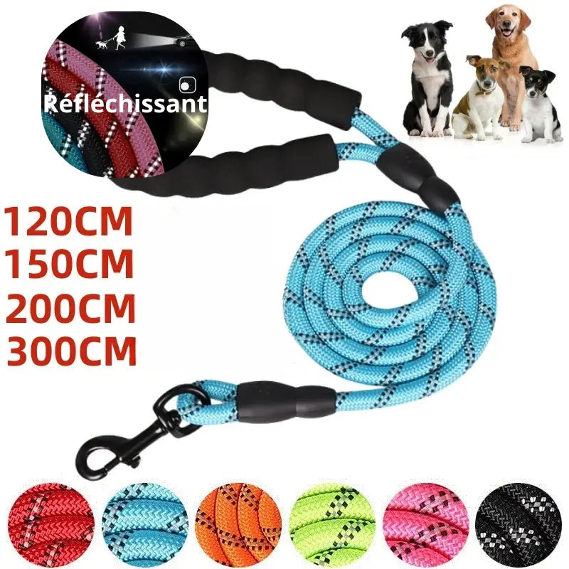 Longue laisse pour chien nylon de 120 à 300cm -  - Dogsaddicte