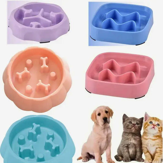 Gamelle anti glouton puzzle. -  - Dogsaddicte