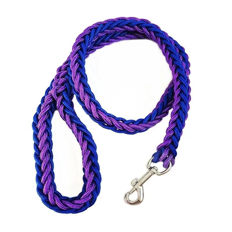 Longe pour chien en Nylon -  - Dogsaddicte